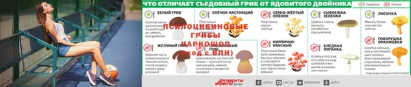 дмт Орехово-Зуево