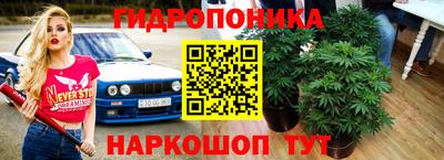 ECSTASY Абакан