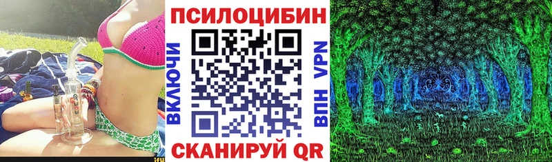 Псилоцибиновые грибы Psilocybine cubensis  закладка  Гуково 