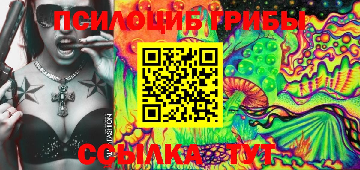 Псилоцибиновые грибы GOLDEN TEACHER  Гуково 