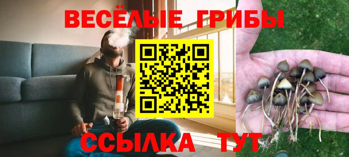 Гуково  Псилоцибиновые грибы мухоморы  Вход с VPN 