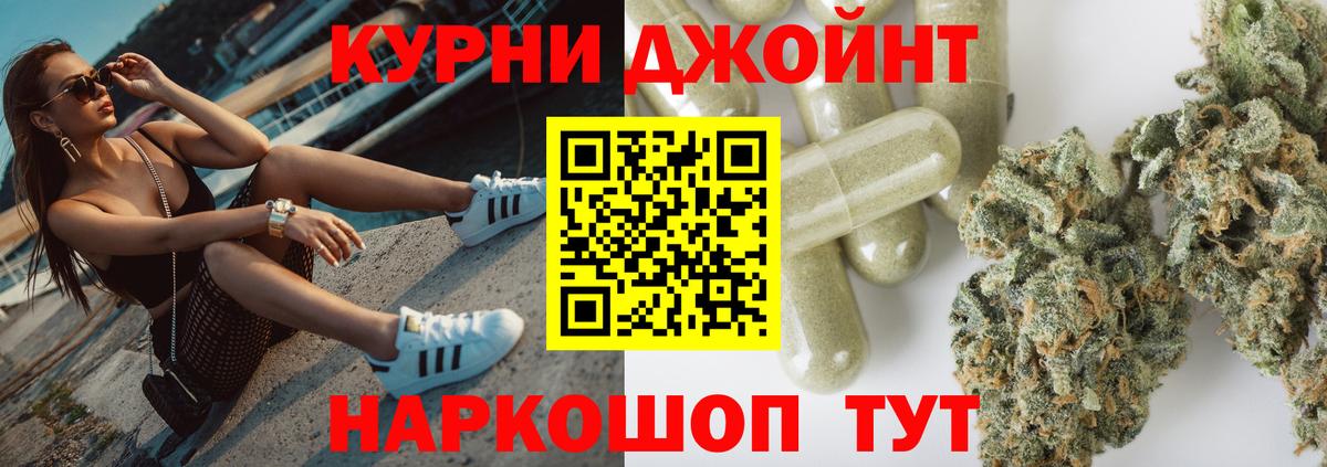 Бошки Шишки планчик  Гуково  Марихуана планчик  Конопля гибрид  Канабис марихуана 